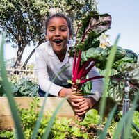 Donation to the Earthchild Project R15